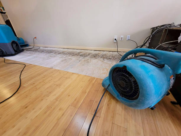 Professional Flood Damage Cleanup technician working in Fredericksburg, IA